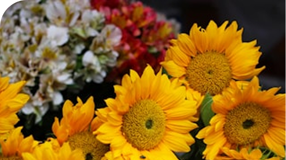 Florist Dashboard Preview